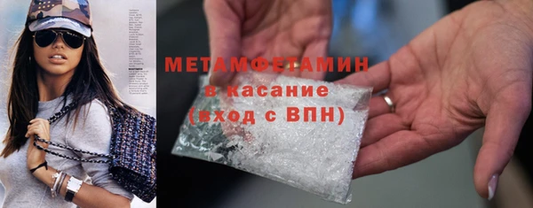 прущие грибы Бородино