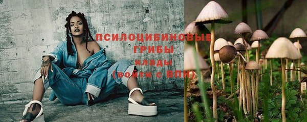 ПСИЛОЦИБИНОВЫЕ ГРИБЫ Бугульма