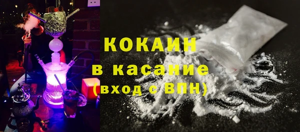 прущие грибы Бородино