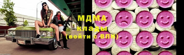 прущие грибы Бородино